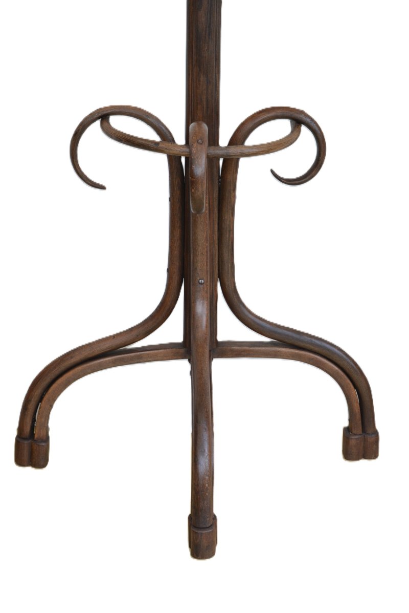 Antique Bentwood Coat Stand, Half Round Design Hall Stand, C1900, Thonet Style - Image 8